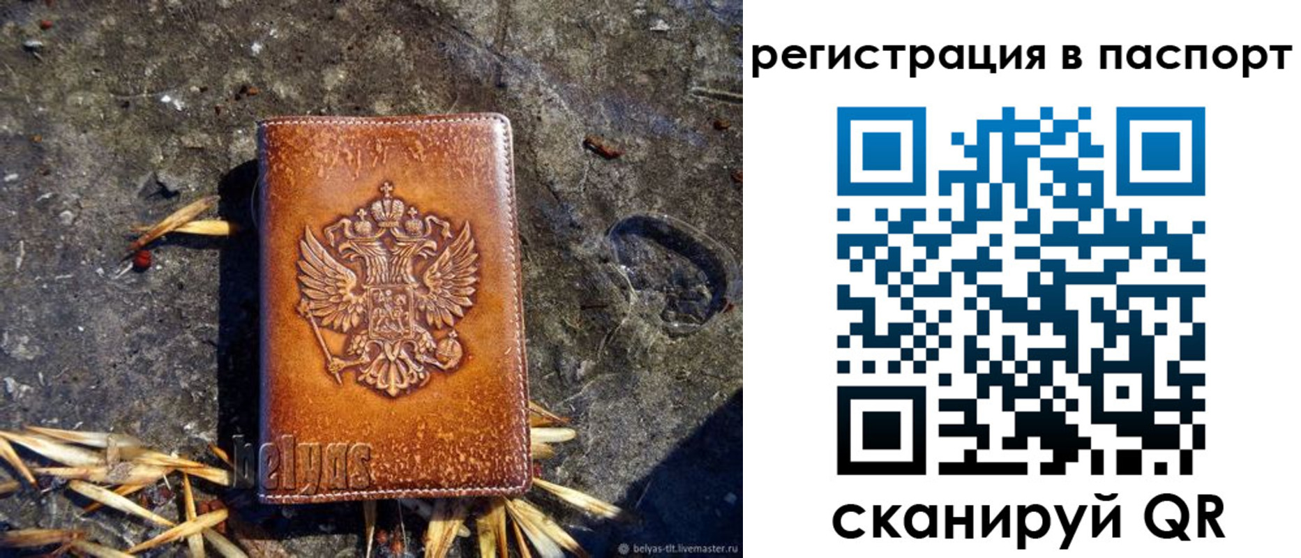 временная регистрация гарантия в Петропавловске-Камчатском